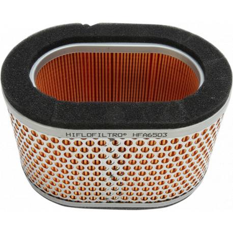 Air Filter HIFLOFILTRO HFA6503