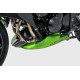 Ermax Bugspoiler - Kawasaki Z750 2007-12