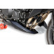 Ermax Bugspoiler - Kawasaki Z750 2007-12