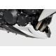 Ermax Bugspoiler - Kawasaki Z750 2007-12