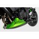 Ermax Belly Pan - Kawasaki Z750 2007-12