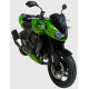 Ermax Sceen - Kawasaki Z750 2007-12