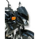 Ermax Sceen - Kawasaki Z750 2007-12