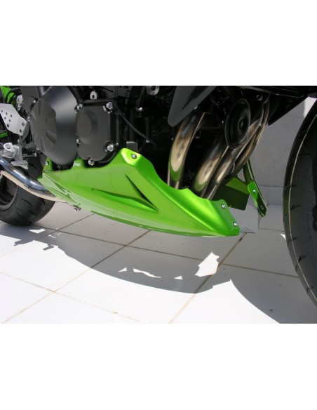 Bugspoiler Ermax - Kawasaki Z750 2004-06