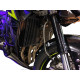 Access Design Radiator Guard Grill - Kawasaki