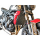 Access Design Kühlergrill - Triumph Trident 660 2021/+