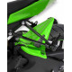 Ermax Hinterradabdeckung - Kawasaki ZX10 R 2008-10