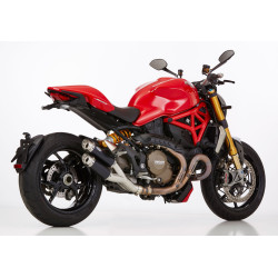 Auspuff Shark Track - Ducati 821 Monster 2014-16 / 1200 Monster / S 2014-16