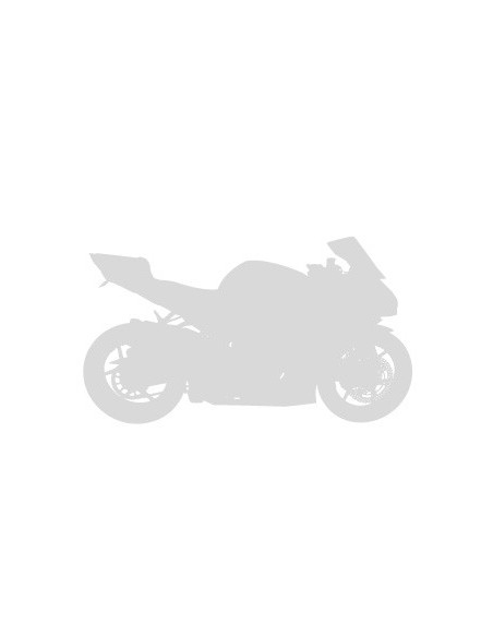 Scheinwerferblase Ermax - Kawasaki ZXR 750 1993-95 - Hell