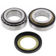 ALL BALLS Steering Shaft Bearing 22-1055