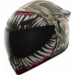 Casque moto Icon Domain™ Cornelius