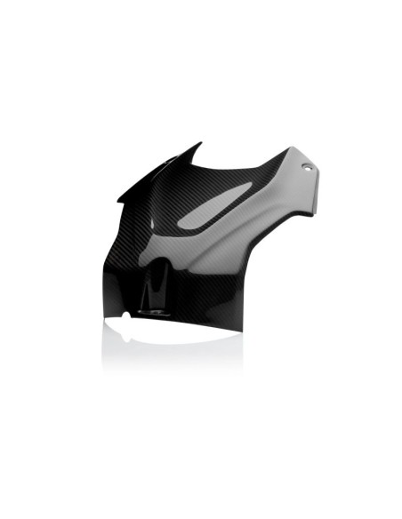 Tank Airbox Abdeckung aus Kohlefaser - Carbone2Race - BMW S 1000R 2021-24