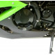 Motogehäuse Schieber links R&G Racing - Kawasaki ZX6-R 2009-12