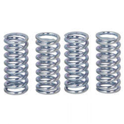 Clutch spring kit TRW MEF133-4