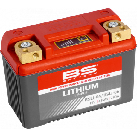 BS BATTERY Lithium-LiFePO4-Batterie