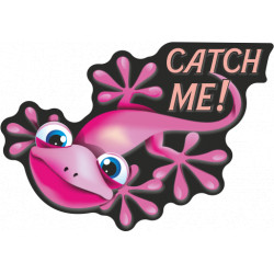 Onedesign Sticker Kit - "Catch me" - Pink Frog