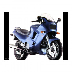 Powerbronze-Scheinwerferschutz - Triumph Trophy 900 1995-98