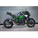 Mg-Biketec Kennzeichenhalter -Kawasaki Z900 2025 /+