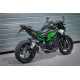 Mg-Biketec Kennzeichenhalter -Kawasaki Z900 2025 /+