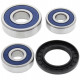 Hinterradlagersatz ALL BALLS 25-1347