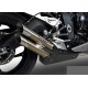 Exhaust Bodis Duobolico for Triumph Daytona 675 13-16