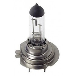 Light bulb H7 Code halogen transparent