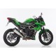 Echappement Shark DSX-7 - Kawasaki Ninja 125 // Z125 2019/+