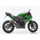 Auspuff Hurric Supersport - Kawasaki Ninja 125 // Z125 19/+ | Carbon
