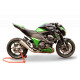 Auspuff Hpcorse Evoxtrem 310 Kawasaki Z800 