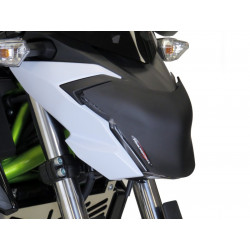 Powerbronze Headlight Protector - Kawasaki Z650 2017-19