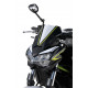 Ermax Gabelkopf - Kawasaki Z650 2020/+