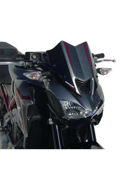Ermax Gabelkopf - Kawasaki Z900 2017-19