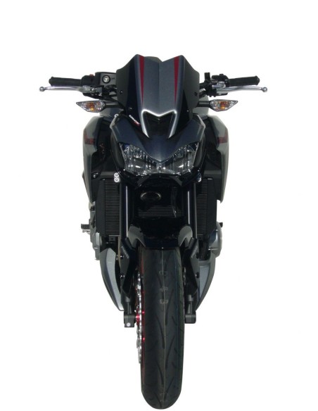Ermax Gabelkopf - Kawasaki Z900 2017-19