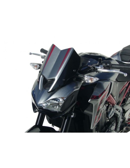 Ermax Gabelkopf - Kawasaki Z900 2017-19