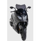 Bulle Sport Ermax - BMW C 650 Sport 2016-20