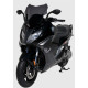 Ermax Sport Scheibe - BMW C 650 Sport 2016-20