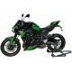 Ermax Bugspoiler - Kawasaki Z900 2020/+