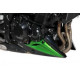 Ermax Bugspoiler - Kawasaki Z900 2020/+