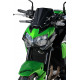 Ermax Nose Fairing - Kawasaki Z900 2020/+