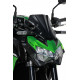 Ermax Nose Fairing - Kawasaki Z900 2020/+