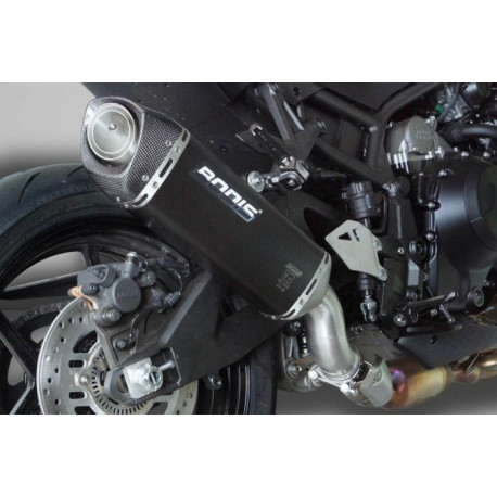 Exhaust Bodis GPC-RSII - Kawasaki ZH2 2019-20