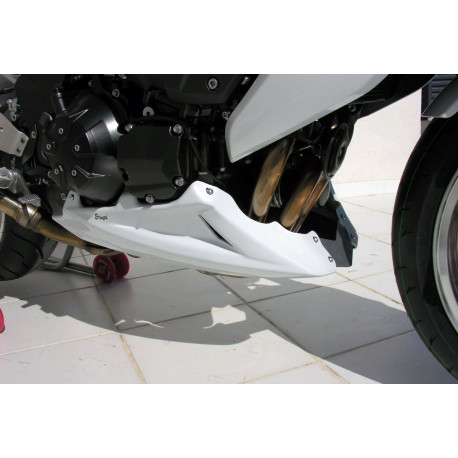 Ermax Bugspoiler - Kawasaki Z1000 2007-09