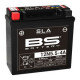 BS BATTERY Battery 12N5.5-4A - Maintenance Free Factory Activated