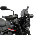 Powerbronze Screens (270mm) - Triumph Trident 660 2021 /+