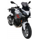 Ermax Sport Scheibe - BMW F900XR 2020/+