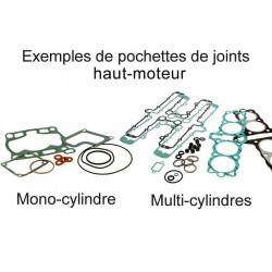 Joint haut-moteur Centauro