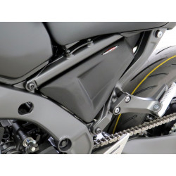 Paroie latérale - Yamaha MT09 2021/+