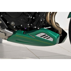 Bugspoiler Ermax -Kawasaki Z650RS 2021/+