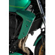 Ecopes Ermax - Kawasaki Z650 RS 2021/+