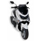 Ermax Windscheibe Sport - Yamaha GPD 125 A NMAX 2015-20